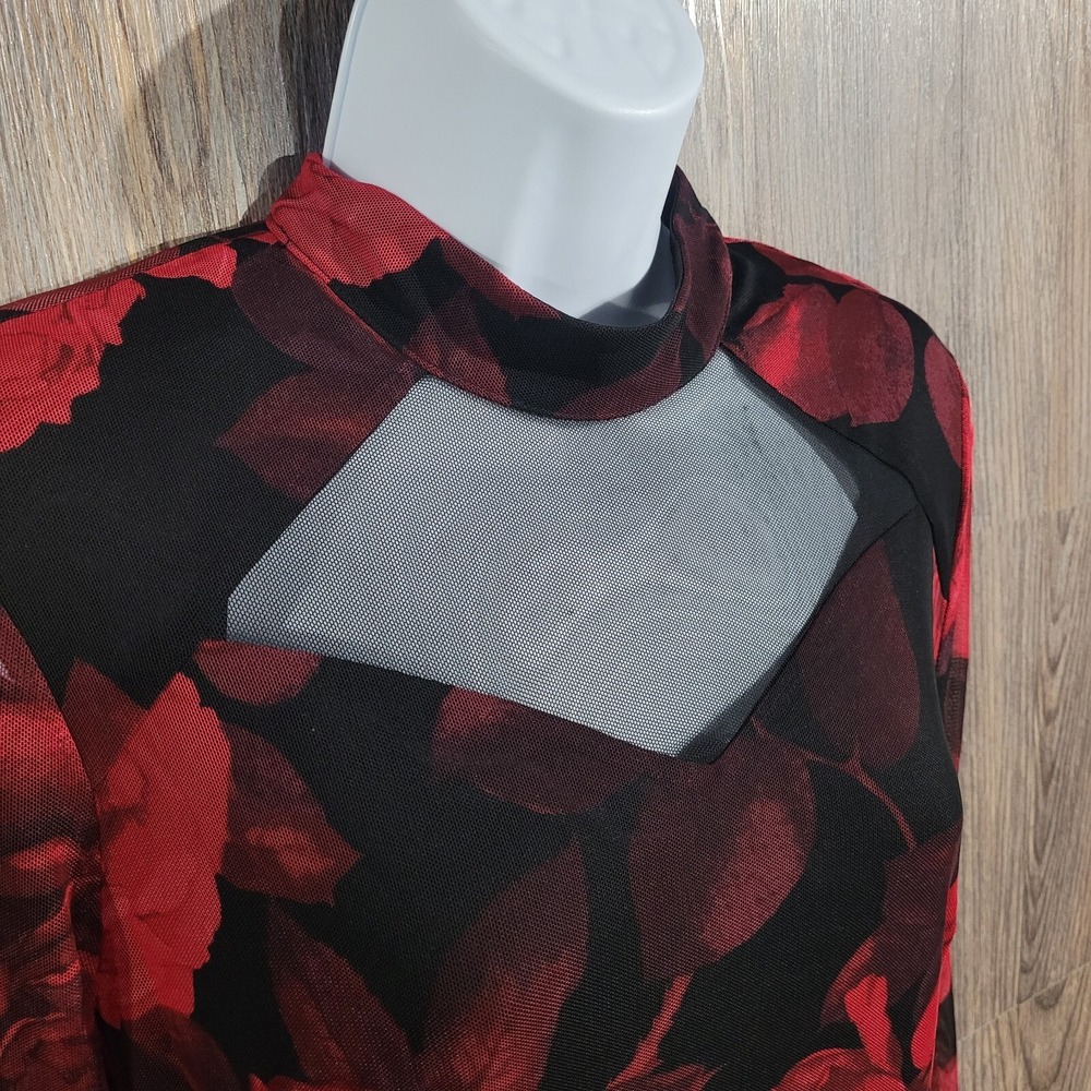 VTG Alexa B Nites Dark Romantic Dress Size 10 Sheer Mesh Roses Whimsigoth Lined - Picture 4 of 12